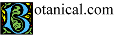 Botanocal.com Logo